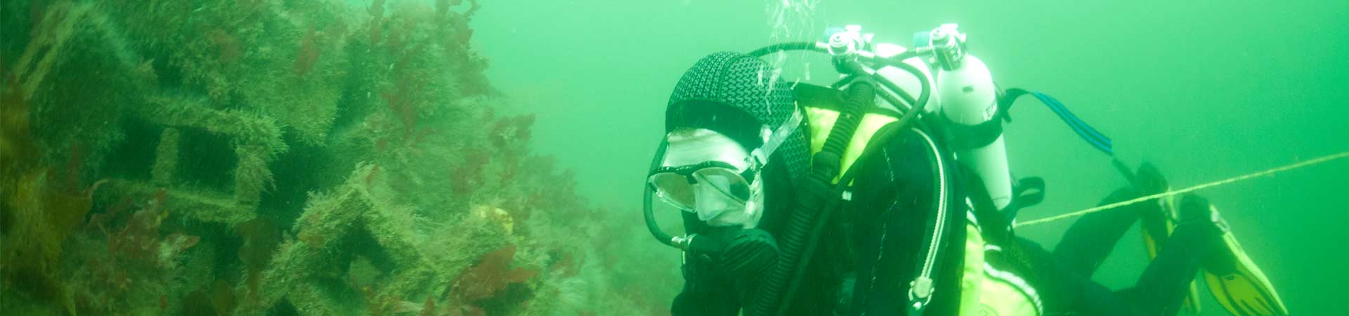 A diver surveying the artificial reef in Loch Linneh made from concrete bricks