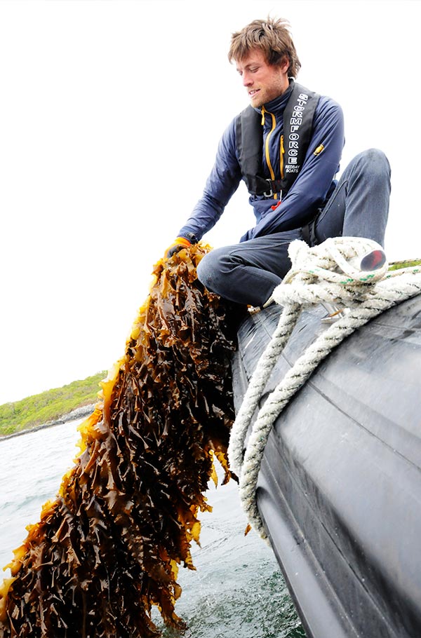 Supporting expansion and skills development for the seaweed aquaculture industry.