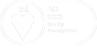 SRLS BSI assurance mark logo