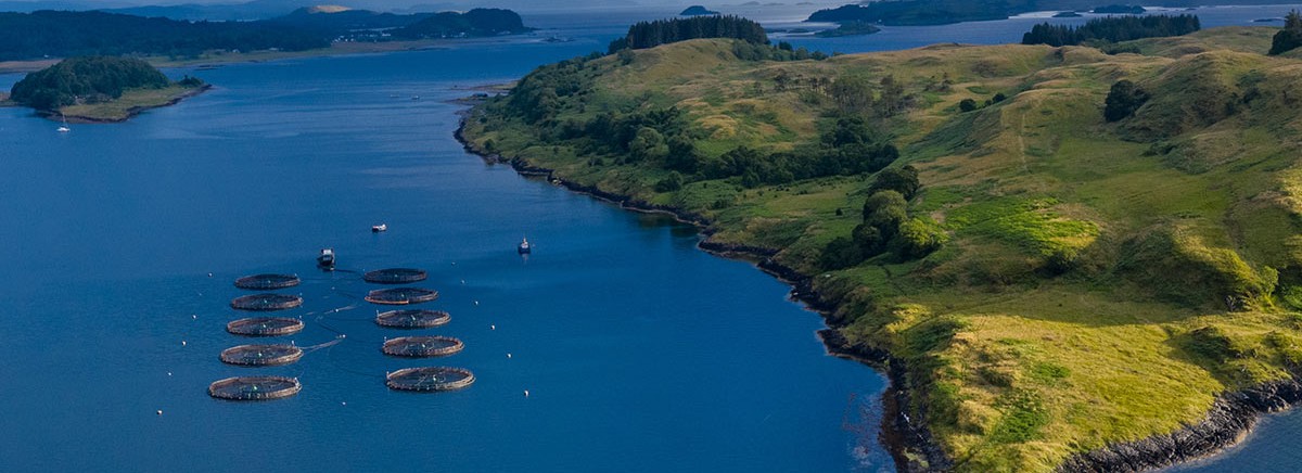 Aerial view of fish farming cages in a calm bay near a green, hilly coastline under a cloudy sky.